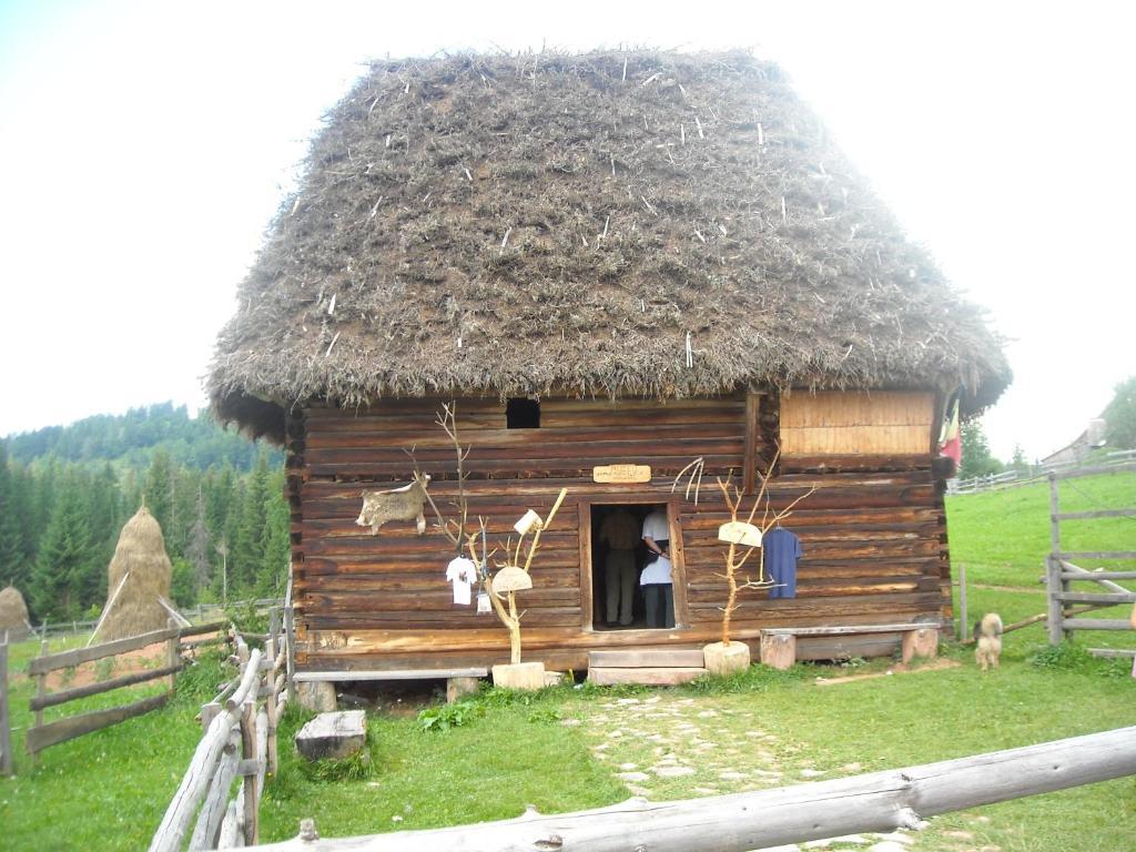Pension Doru Beliş Exterior foto